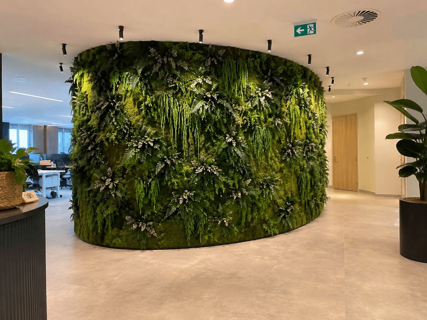Réalisation Nature As A Service : mur végétal rond en bureaux