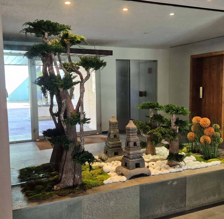 Équipe Nature As A Service dans un bureau végétalisé