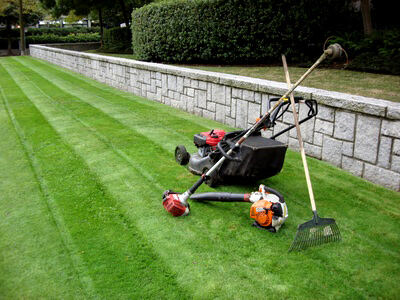 Jardinier Nature As A Service taillant une haie en pied d'immeuble
