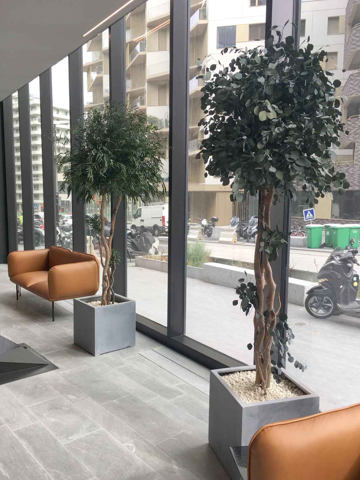 Réalisation Nature As A Service : arbres et plantes en hall d'immeuble