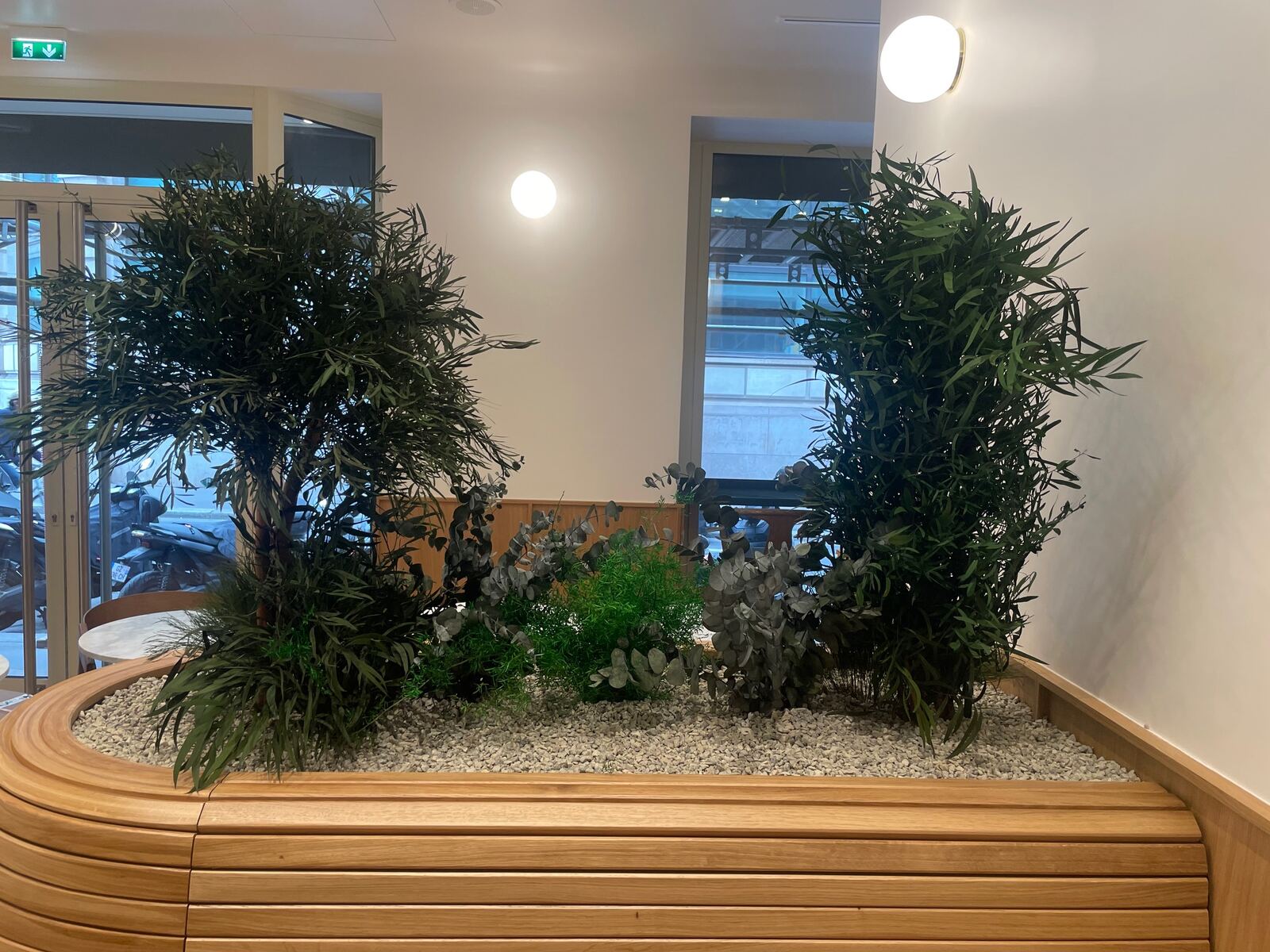 Réalisation Nature As A Service : jardinière végétale sur mesure en hall