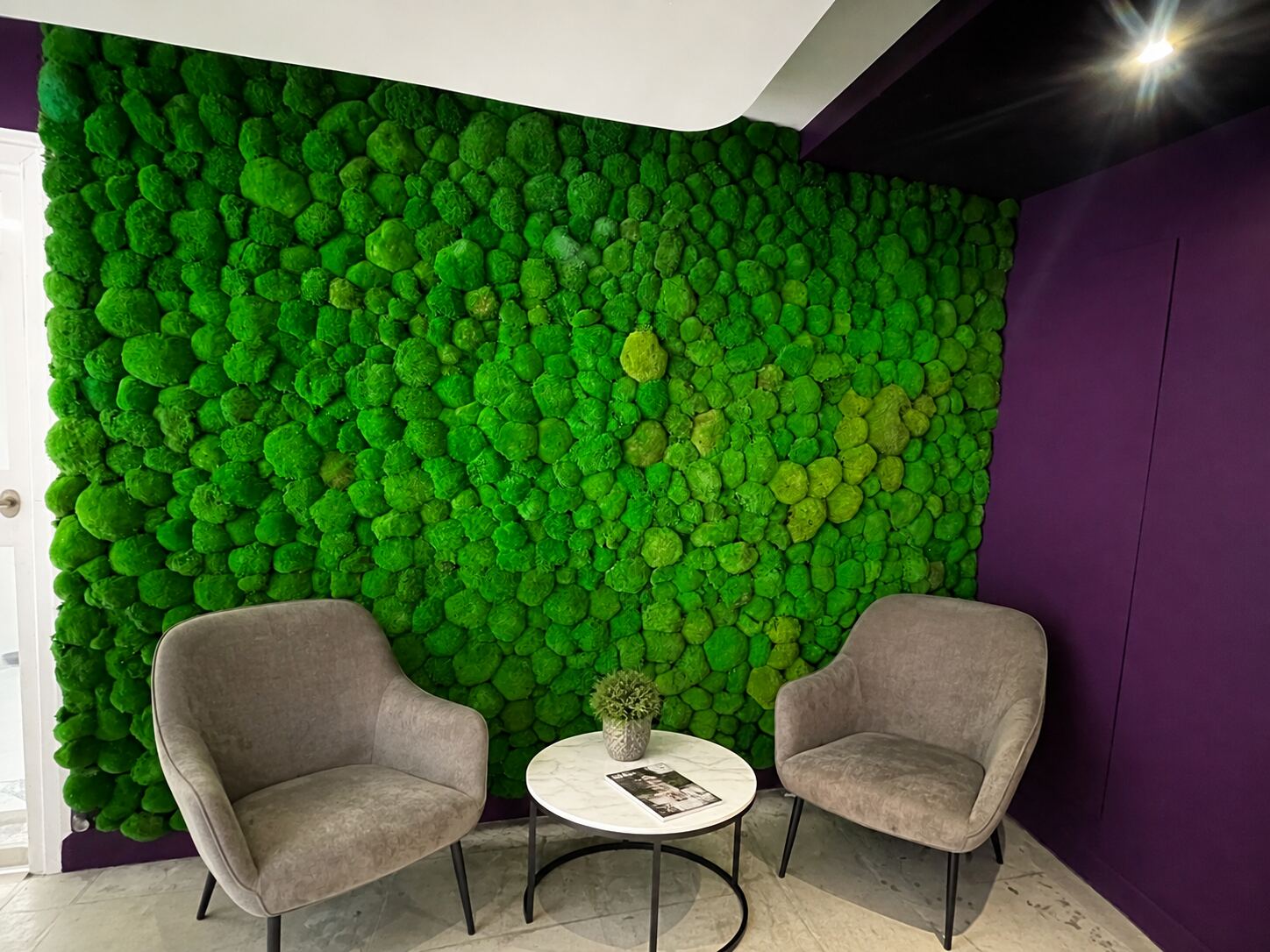 Mur de mousse stabilisée verte dans un espace d'accueil